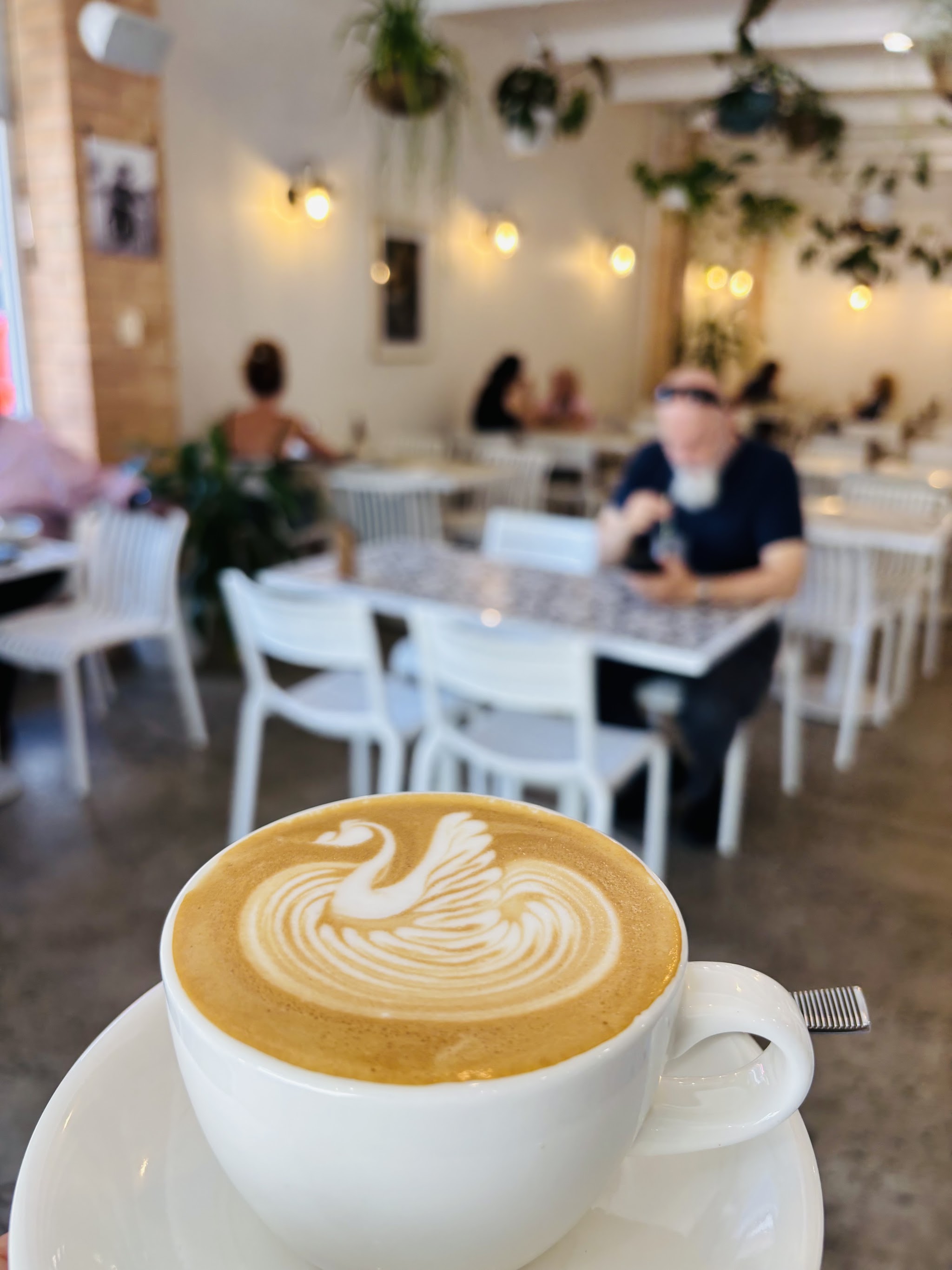 Swan latte art in a cup, with the plant-filled dining room behind