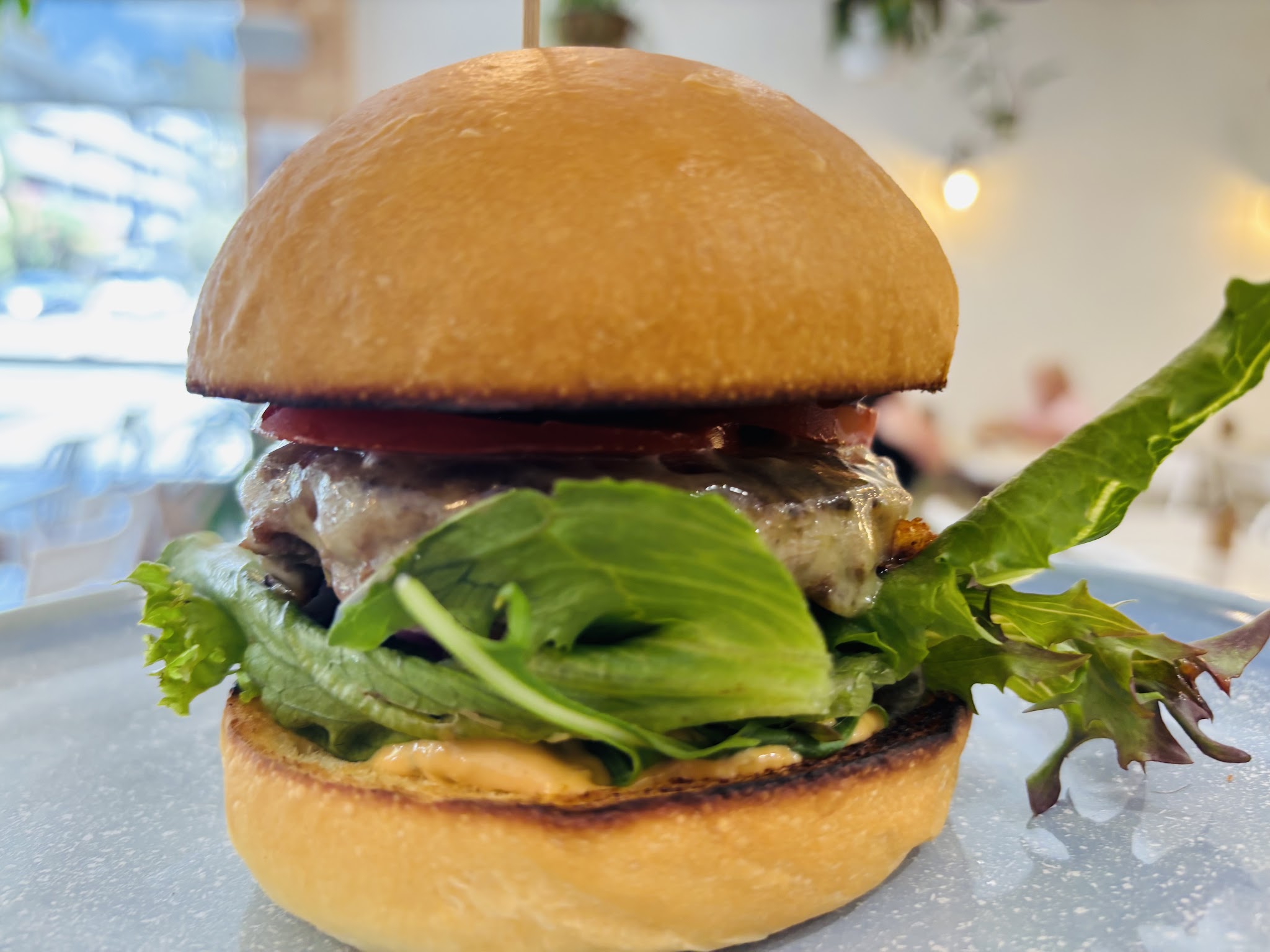 A toasted bun loaded with lettuce, tomato and a patty