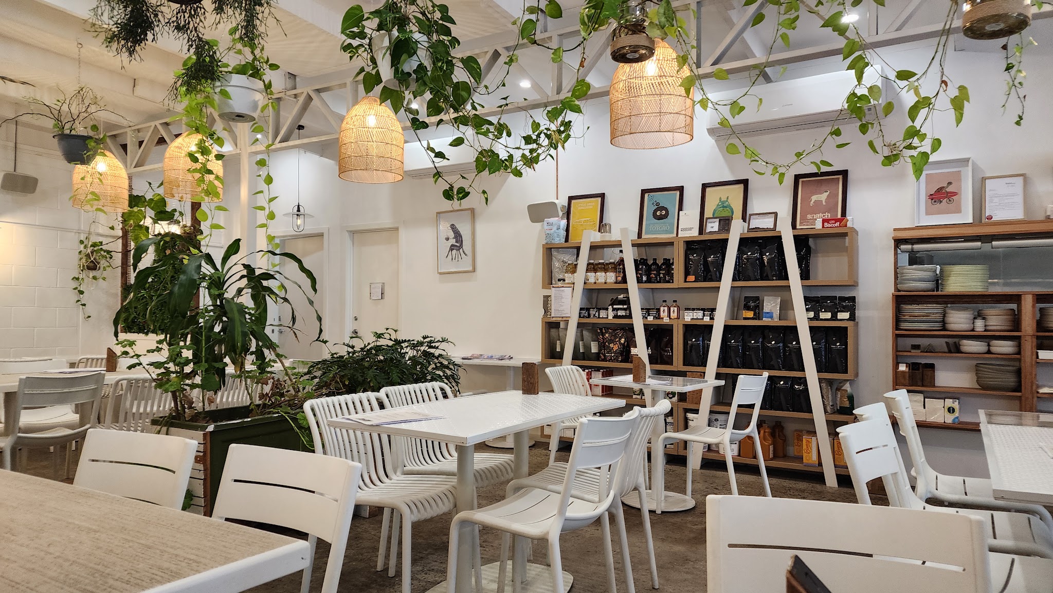 Inside the cafe: white tables, trailing plants, rattan pendant lights and framed prints above shelves of coffee